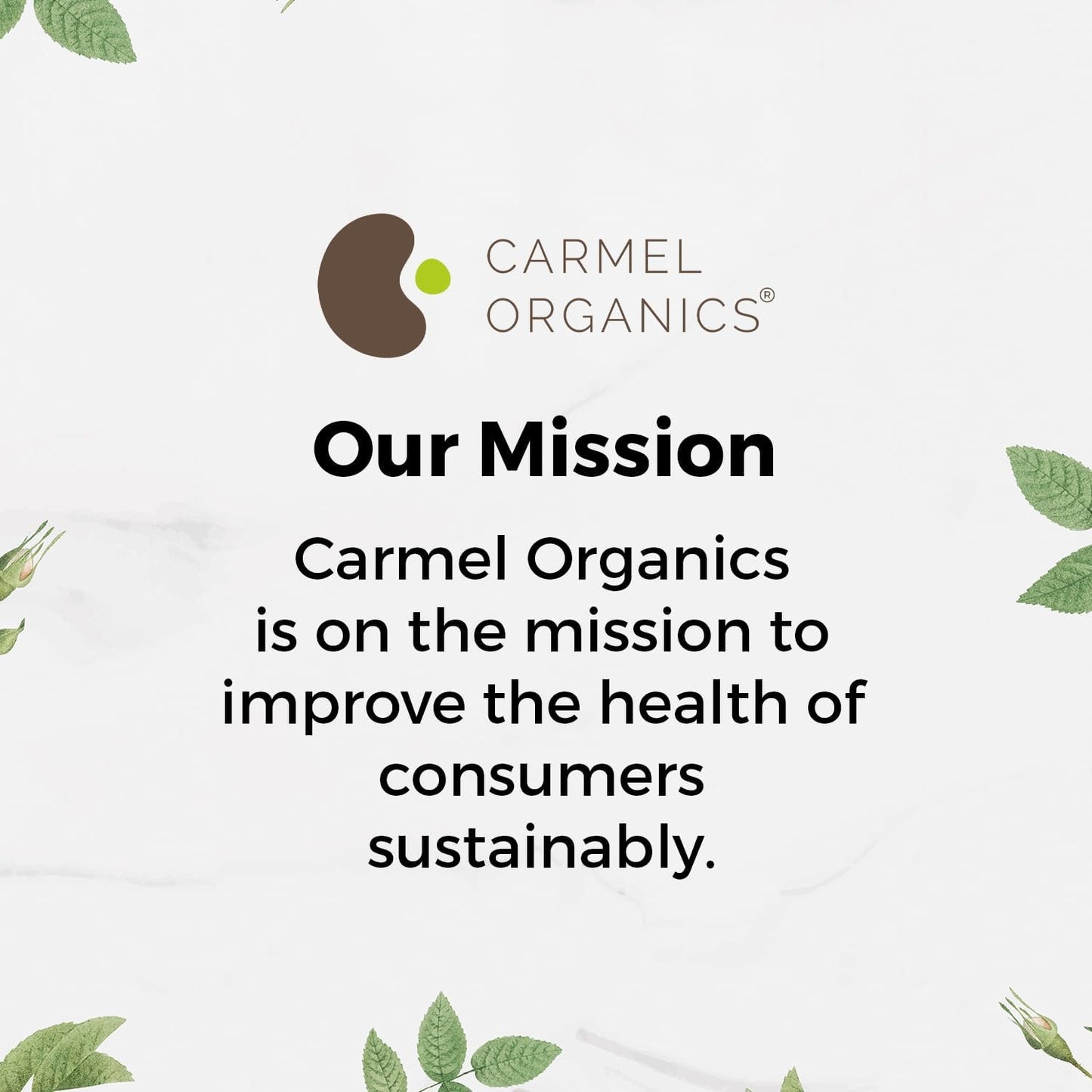 CARMEL ORGANICS Organic Ashwagandha Root Powder (8 Oz or 227g/0.5 Lbs) USDA Certified. Lab Tested, Non GMO & Gluten Free | Withania Somnifera from India