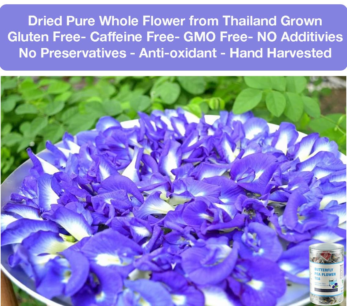 50 Dried Blue Butterfly Pea Flower Tea Bags | Thai Herbal Tea | Blue Purple Pea Tea | Caffeine-Free, Gluten-Free, Non-GMO | Ideal for Cooking, Iced Tea, Coolers, Cocktails and Mocktails