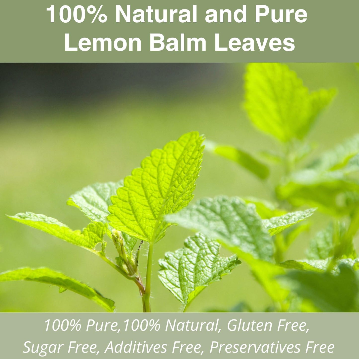 50 Ginger Turmeric Tea Bags – Premium Herbal Turmeric and Ginger Tea for Digestion and Immune Support, Caffeine-Free