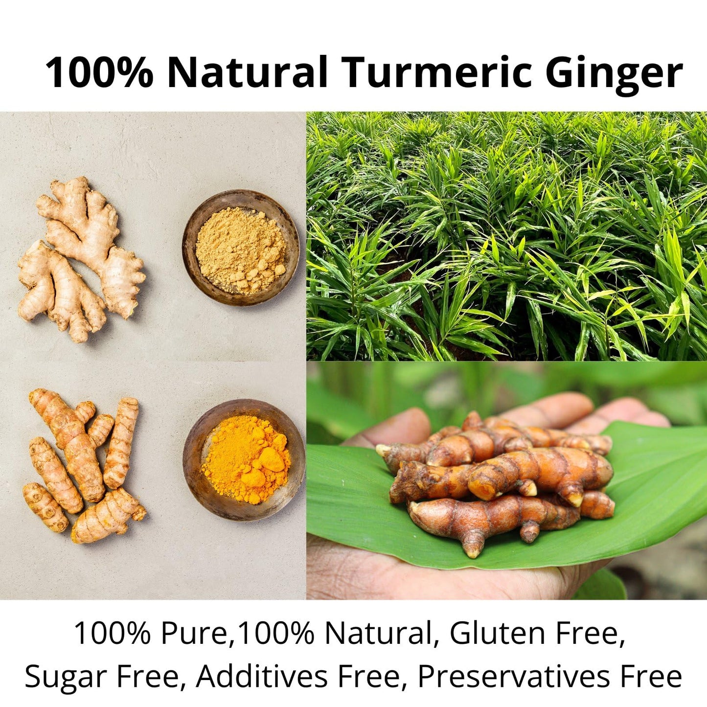 50 Ginger Turmeric Tea Bags – Premium Herbal Turmeric and Ginger Tea for Digestion and Immune Support, Caffeine-Free